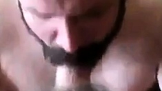 Bearded daddy sucks big hairy cock