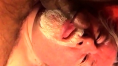 Daddy sucking cub