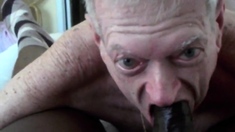 Grandpa Sucks And Eats Cum