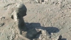 Close up pussy outdoors