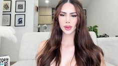 Big tit shemale jerks her long cock