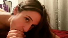 Nice amateur Blowjob and Handjob