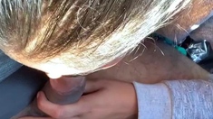 Amateur cock sucking brunette vallerie scott pov