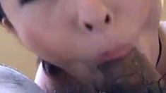 Japanese Amateur Blowjob Cum in Mouth