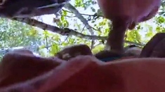 Bearded Daddy Sucks Outdoors