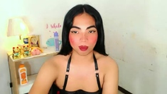 Jerking Off Shemale Tranny Solo Play