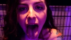 Molly Darling - PERDITION