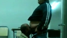 Fat Daddy Bear Sucks Chub