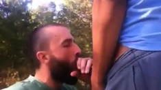 OUTDOOR FUCKING SUCKING CUM